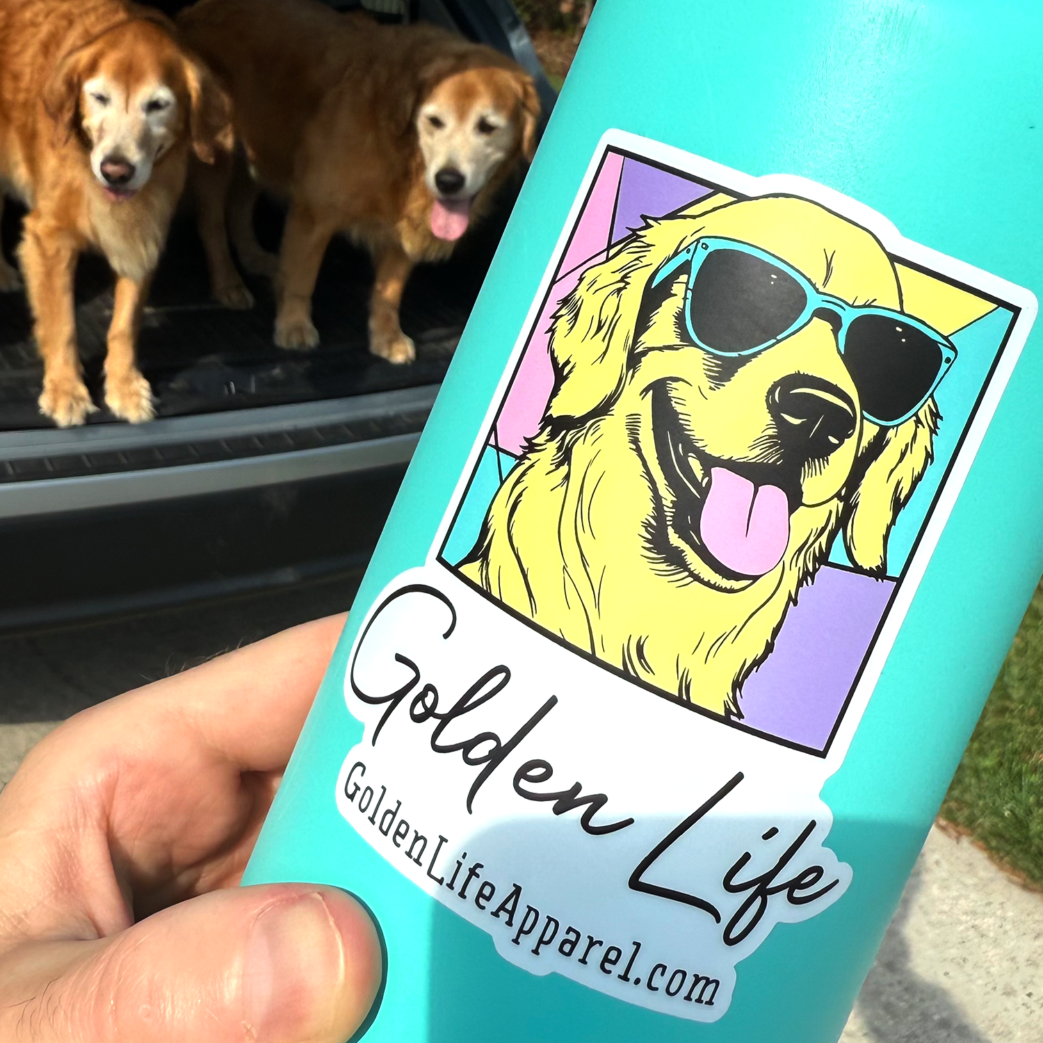 Golden Life - Picture Day - Weatherproof Sticker